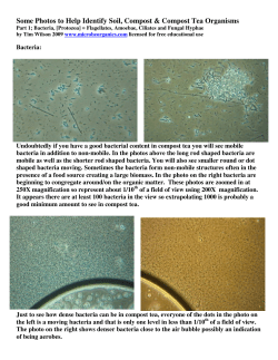Some Photos to Help Identify Soil, Compost