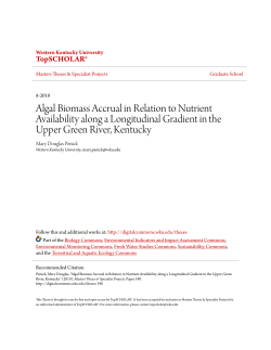 Algal Biomass Accrual in Relation to Nutrient Availability along a
