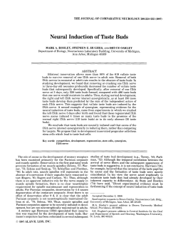 Neural Induction of Taste Buds - Deep Blue