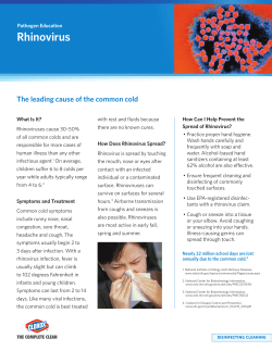Rhinovirus