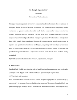 Topics in pseudoclefts