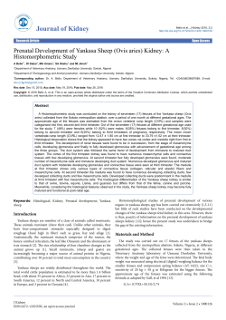 Peer-reviewed Article PDF