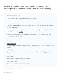 Contractile vacuoles absorb excess water and wastes