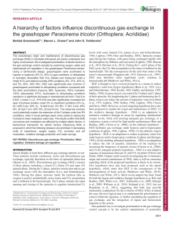 A hierarchy of factors influence discontinuous gas exchange in the