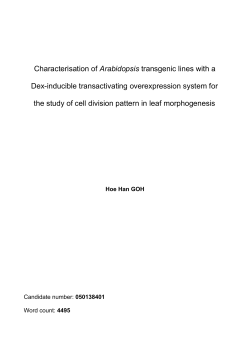 Characterisation of Arabidopsis transgenic lines with a Dex