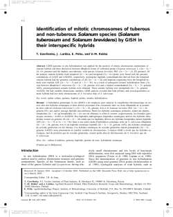 Identification of mitotic chromosomes of tuberous and non