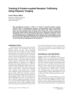 APN: Tracking G Protein-coupled receptor Trafficking using Odyssey