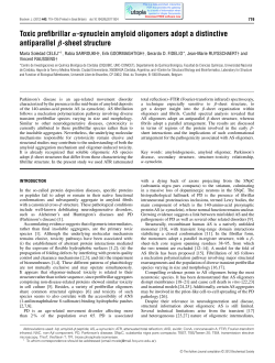Toxic prefibrillar α-synuclein amyloid oligomers adopt a distinctive
