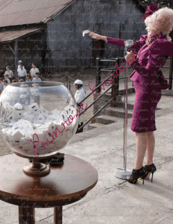 Prim Katniss Volunteer Effie Reaping Gale Peeta Reaping Bowl Slip