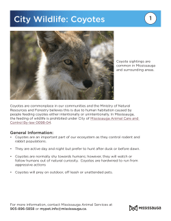 Coyotes - Mississauga.ca