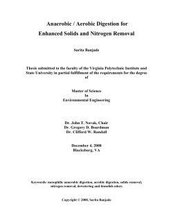 Anaerobic / Aerobic Digestion for Enhanced Solids
