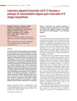 Laboratory adapted Escherichia coli K‐12 becomes a pathogen of