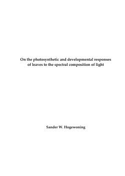 On the photosynthetic and developmental responses