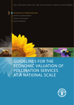 Guidelines for the Economic Valuation of Pollination Services at a