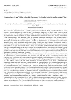 P4-242 Common Beans Grain Yield as Affected by Phosphorus