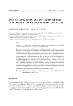 sand colonization and initiation of soil development by