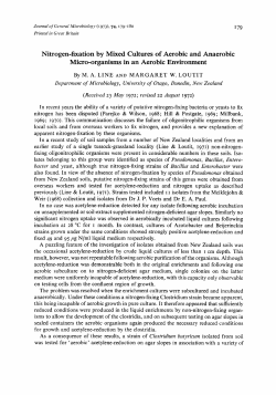 Nitrogen-fixation by Mixed Cultures of Aerobic and