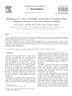 Performance of ``Agave lecheguilla`` natural fiber in portland cement