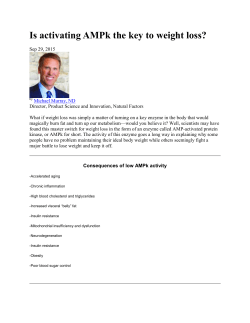 Is activating AMPk the key to weight loss?