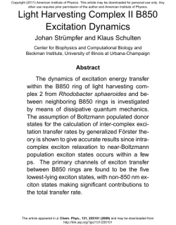 Light Harvesting Complex II B850 Excitation Dynamics