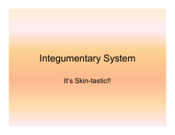 skin notes