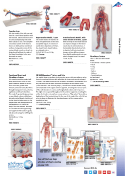 1005045-Functional-Heart-and-Circulatory-System