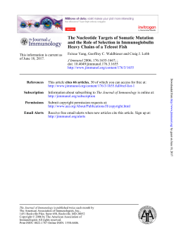 The Nucleotide Targets of Somatic Mutation and the Role