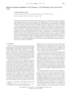 Density Functional Calculations of ATP Systems. 2. ATP Hydrolysis