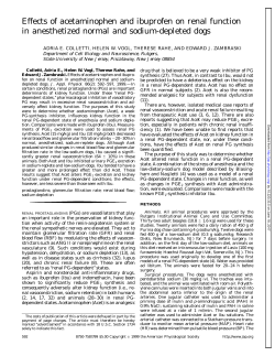 Effects of acetaminophen and ibuprofen on renal function in