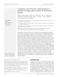 Localization and molecular characterization of