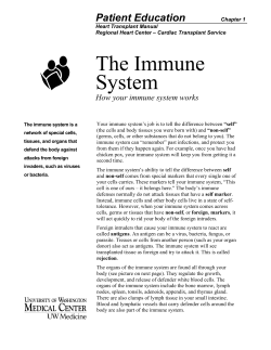 How your immune system works - Health Online