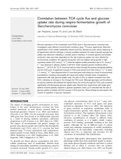 Correlation between TCA cycle flux and glucose