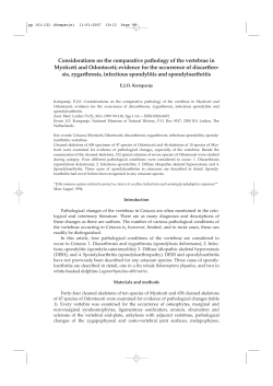 Considerations on the comparative pathology of the vertebrae in