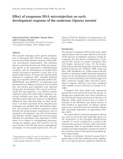 Effect of exogenous DNA microinjection on early development