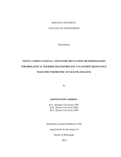 Kostya Aizikov`s Thesis