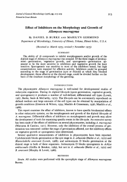 Effect of Inhibitors on the Morphology and Growth of