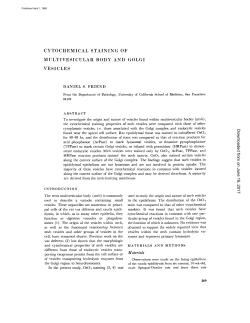 cytochemical staining of multivesicular body and golgi vesicles