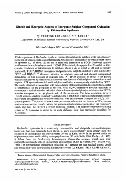 Kinetic and Energetic Aspects of Inorganic Sulphur