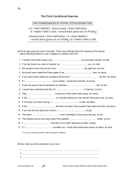 The Third Conditional Exercise