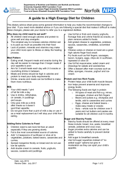 A guide to a High Energy Diet for Children