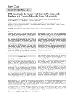 BMP Signaling in the Human Fetal Ovary is Developmentally