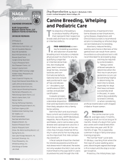 Canine Breeding, Whelping and Pediatric Care by Mark F. Michelotti