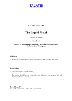 The Liquid Metal - CORE