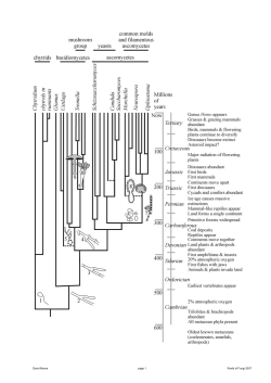 David Moore page 1 World of Fungi 2007