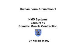 NMS Systems-Lecture 10-Somatic Muscle Contraction