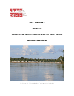 CENEDET Working Paper #7 February 2016