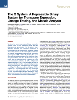 The Q System: A Repressible Binary System for Transgene