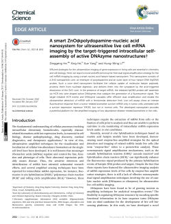 A smart ZnO@polydopamine-nucleic acid
