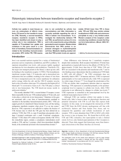Heterotypic interactions between transferrin receptor and transferrin