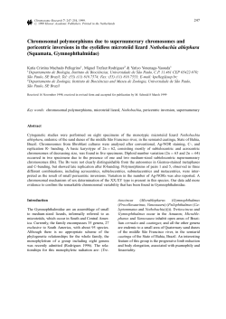 Chromosomal polymorphisms due to supernumerary chromosomes